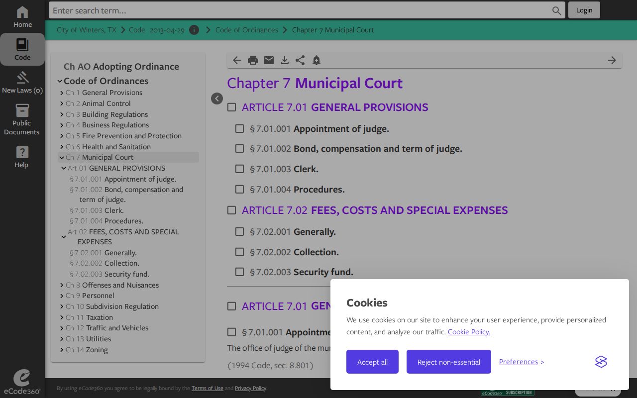 Runnels County criminal records source showing the Winters municipal court ordinance